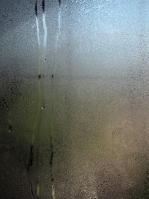 Humid Climates High Humidity
