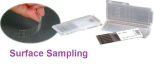 Mold Inspection and Testing Sarasota - TampaBayMold.net