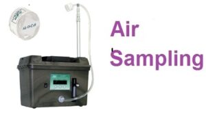 Sarasota Mold Inspection - TampaBayMold.net